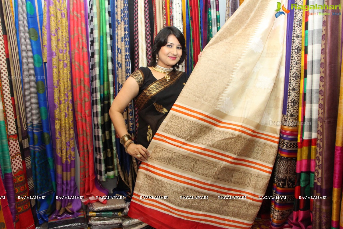 Lepakshi Handloom Cotton and Silk Mela - 2015