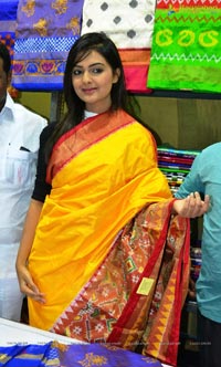 Neha Deshpande inaugurated Pochampally IKAT Art Mela