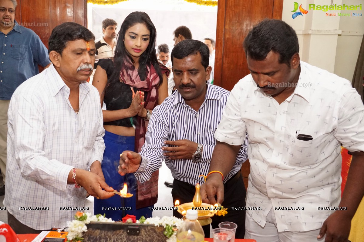 Pooja Sri launches Pochampally IKAT Art Mela in Hyderabad