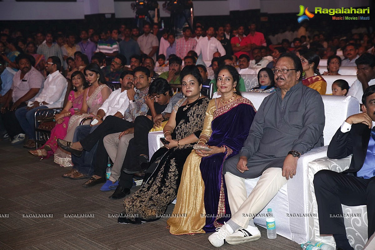 Santosham 13th Anniversary Awards 2015