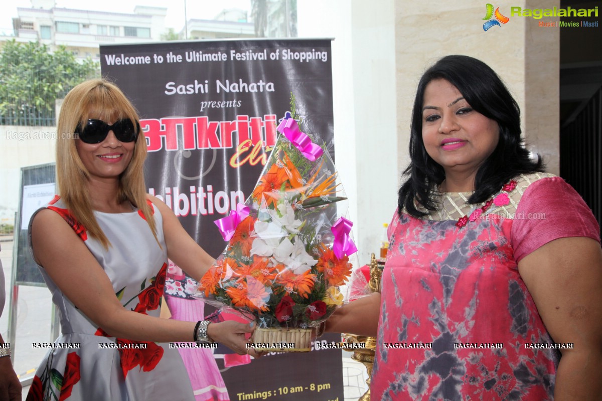 Sashi Nahata's Akritti Elite Exhibition at Novotel, Vizag (August 2015)