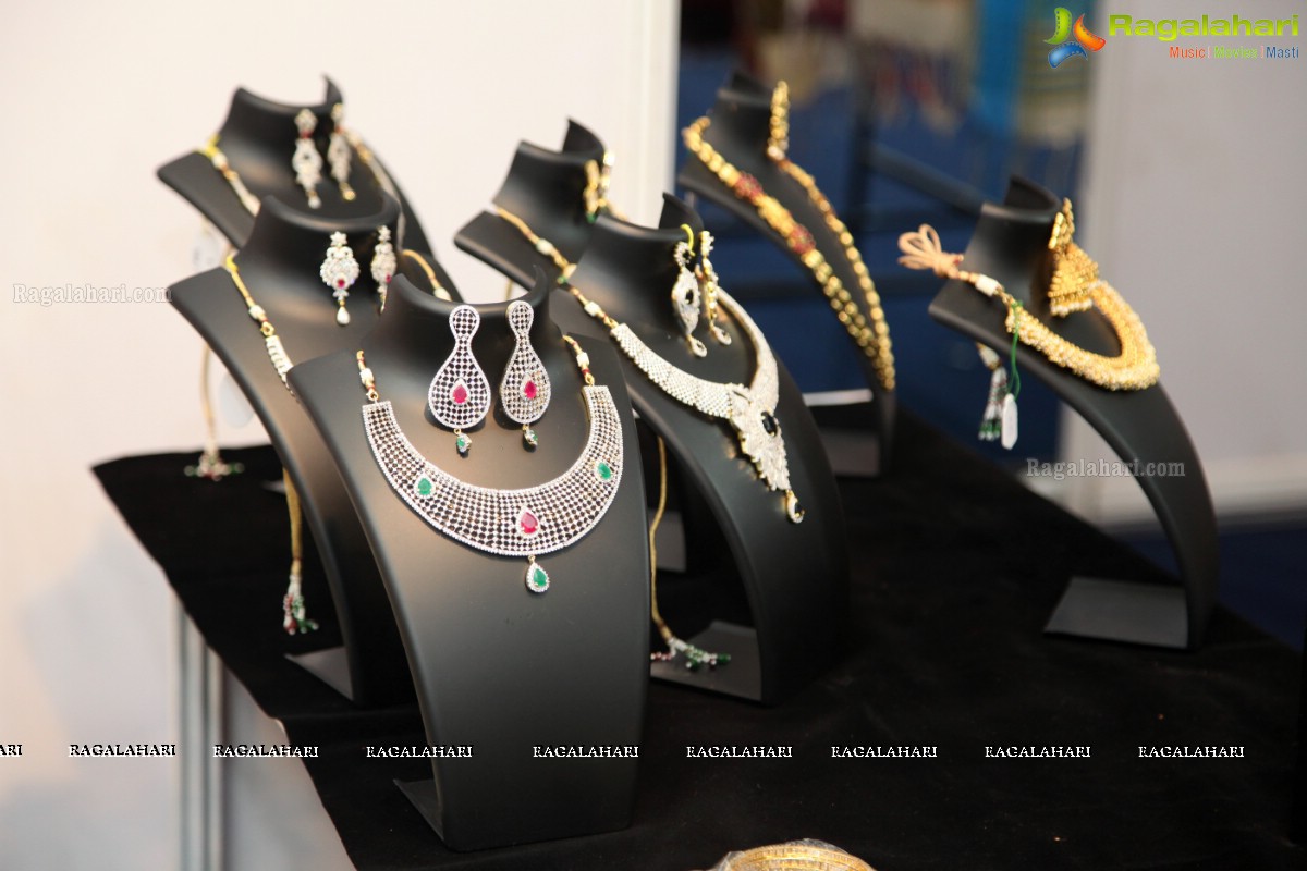 Sashi Nahata's Akritti Elite Exhibition at Novotel, Vizag (August 2015)