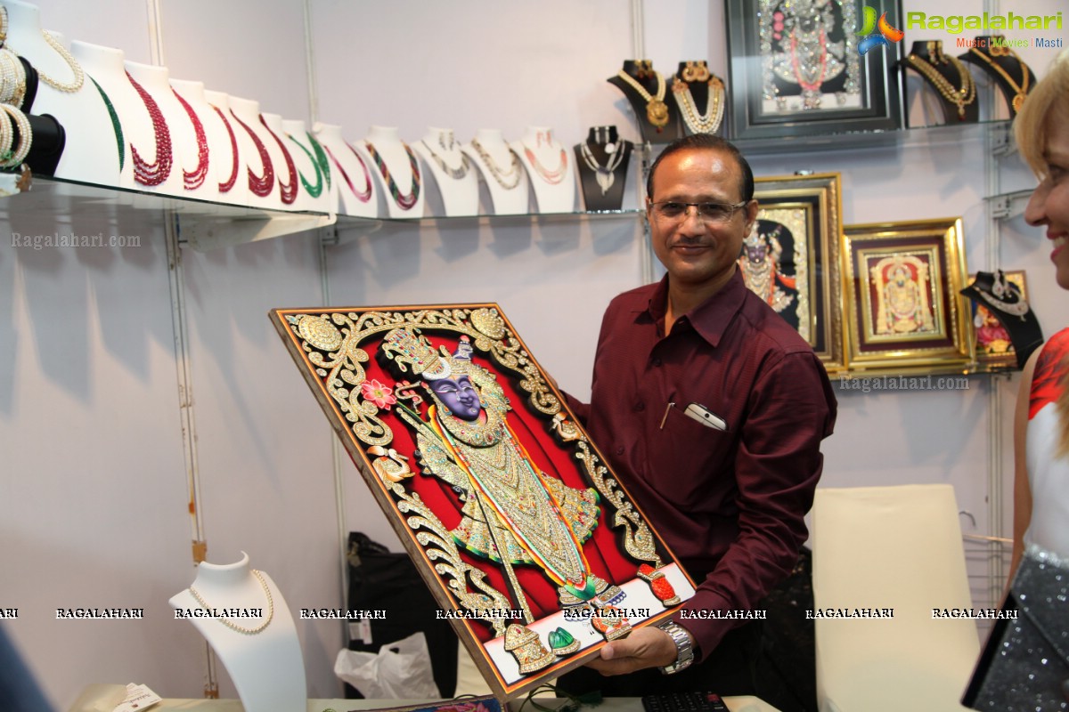 Sashi Nahata's Akritti Elite Exhibition at Novotel, Vizag (August 2015)