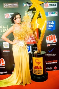 SIIMA 2015 Day 1 Photos