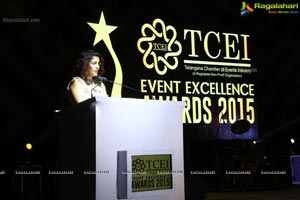 TCEI Excellence Awards 2015