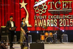 TCEI Excellence Awards 2015