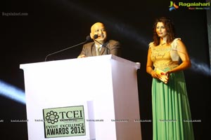 TCEI Excellence Awards 2015