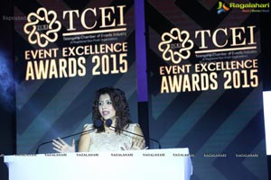 TCEI Excellence Awards 2015