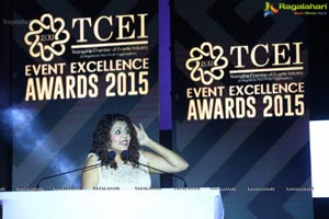 TCEI Excellence Awards 2015