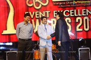 TCEI Excellence Awards 2015