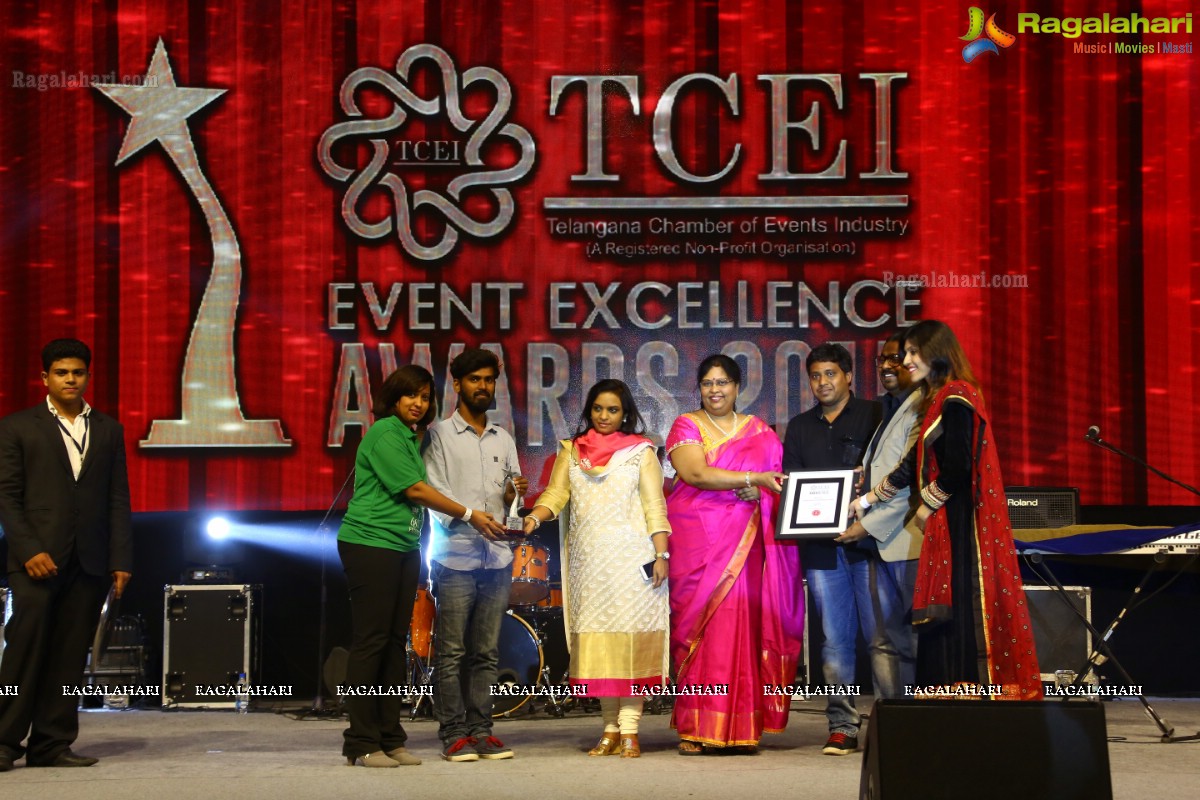 TCEI Event Excellence Awards 2015 Presentation, Hyderabad