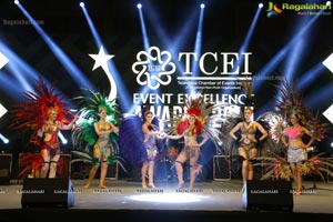 TCEI Excellence Awards 2015