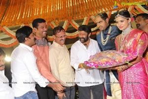 Director Krish Wedding