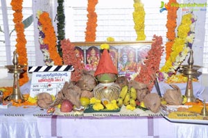 9/A Krishnalanka Muhurat