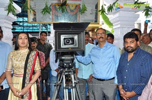 Gopichand-Catherine Tresa-Sampath Nandi Film Muhurat