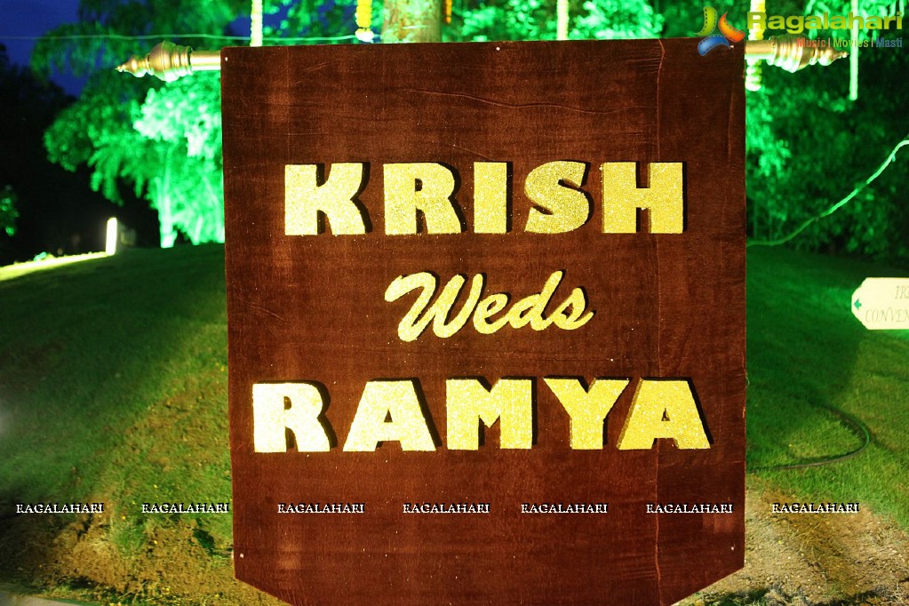 Director Krish Wedding (Set 1)