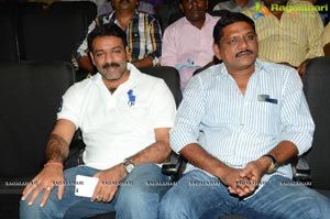 Mental Audio Release