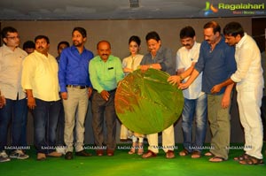 Mr. 420 Audio Release