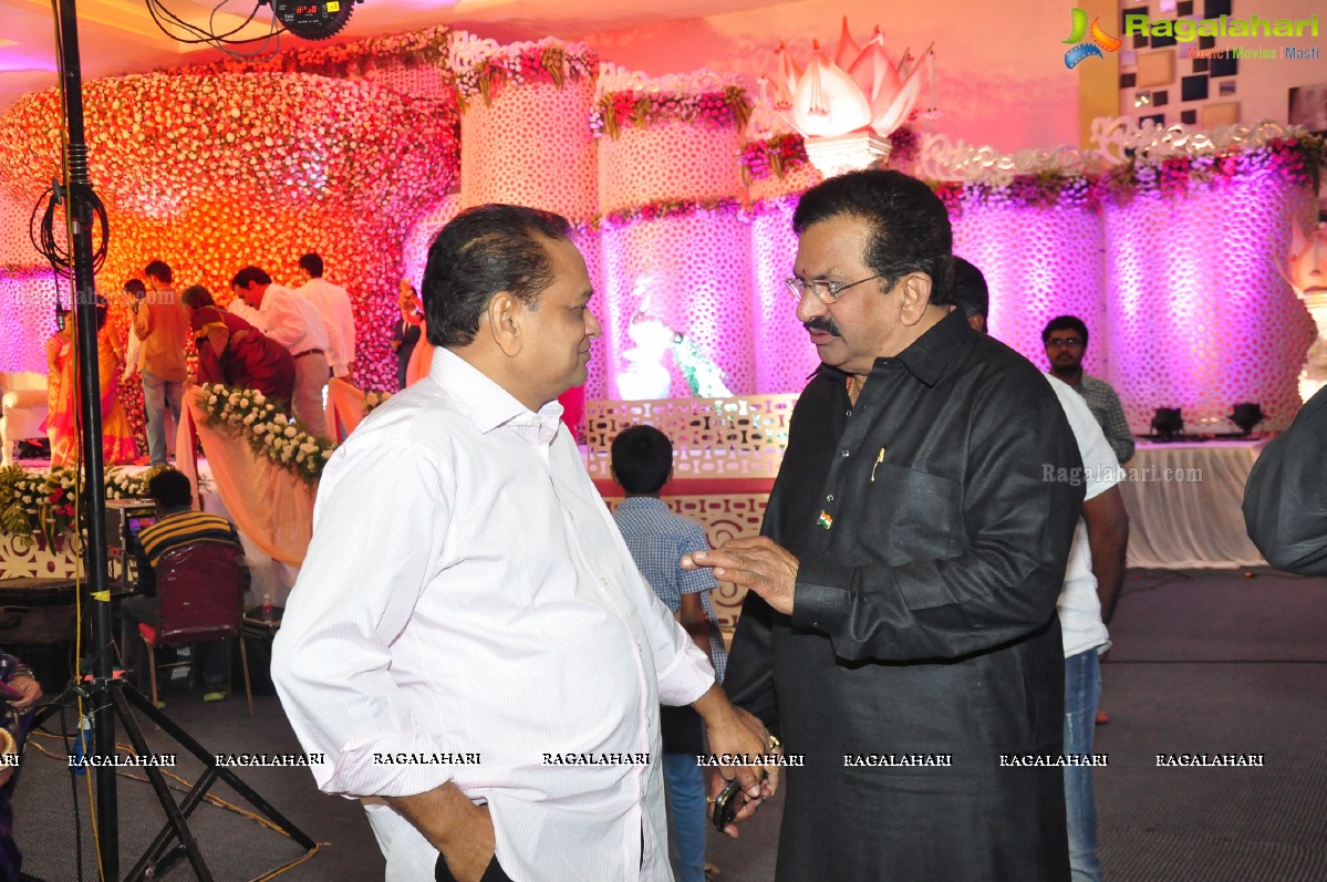 Celebrities at Producer Raja Reddy Son Reception