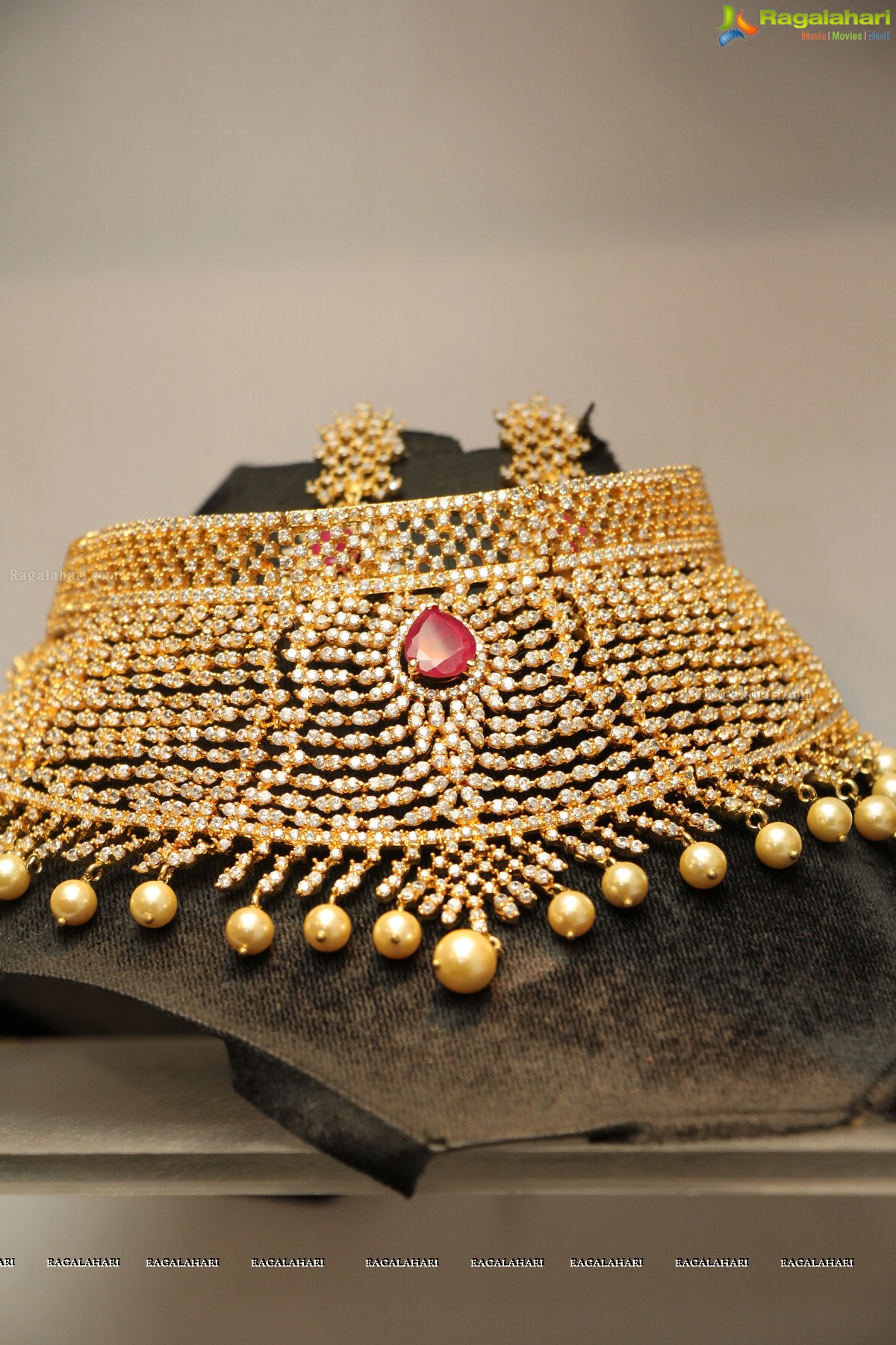 Drusa Gradeur Insignia Exhibition at Taj Krishna