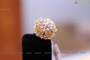 Jaipur Jewels Exhibition