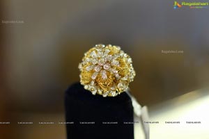 Jaipur Jewels Exhibition