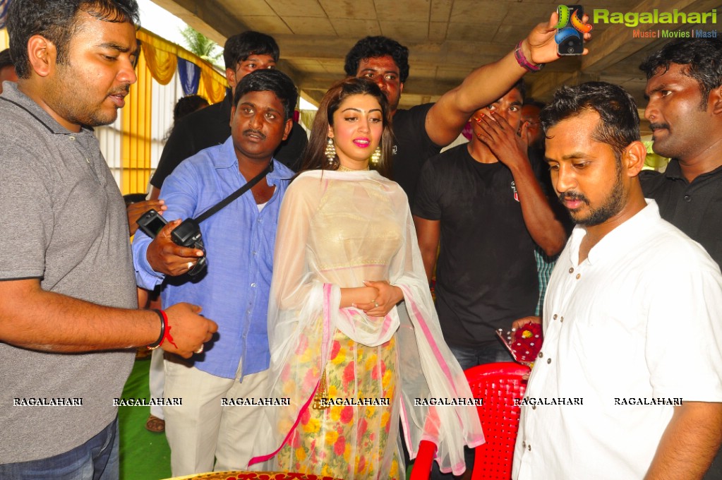 Pranitha launches Hyper Super Market at Ravulapalem