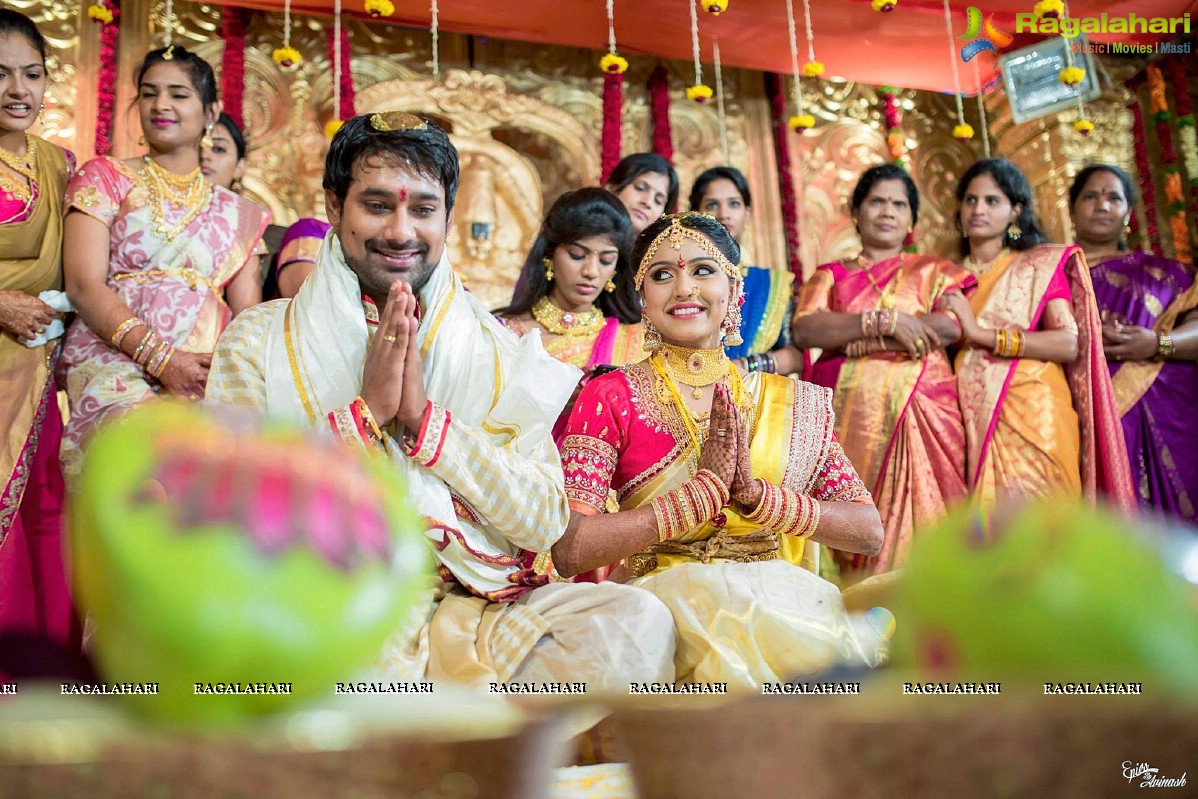 Varun Sandesh-Vithika Sheru Wedding