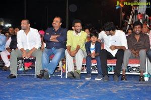 Fidaa Success Celebrations