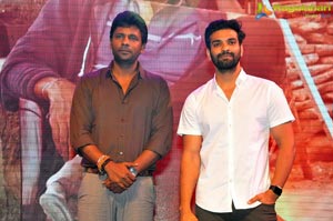 Fidaa Success Celebrations