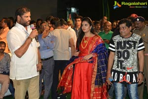 Paisa Vasool Audio Release