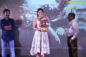 Paisa Vasool Audio Success Meet