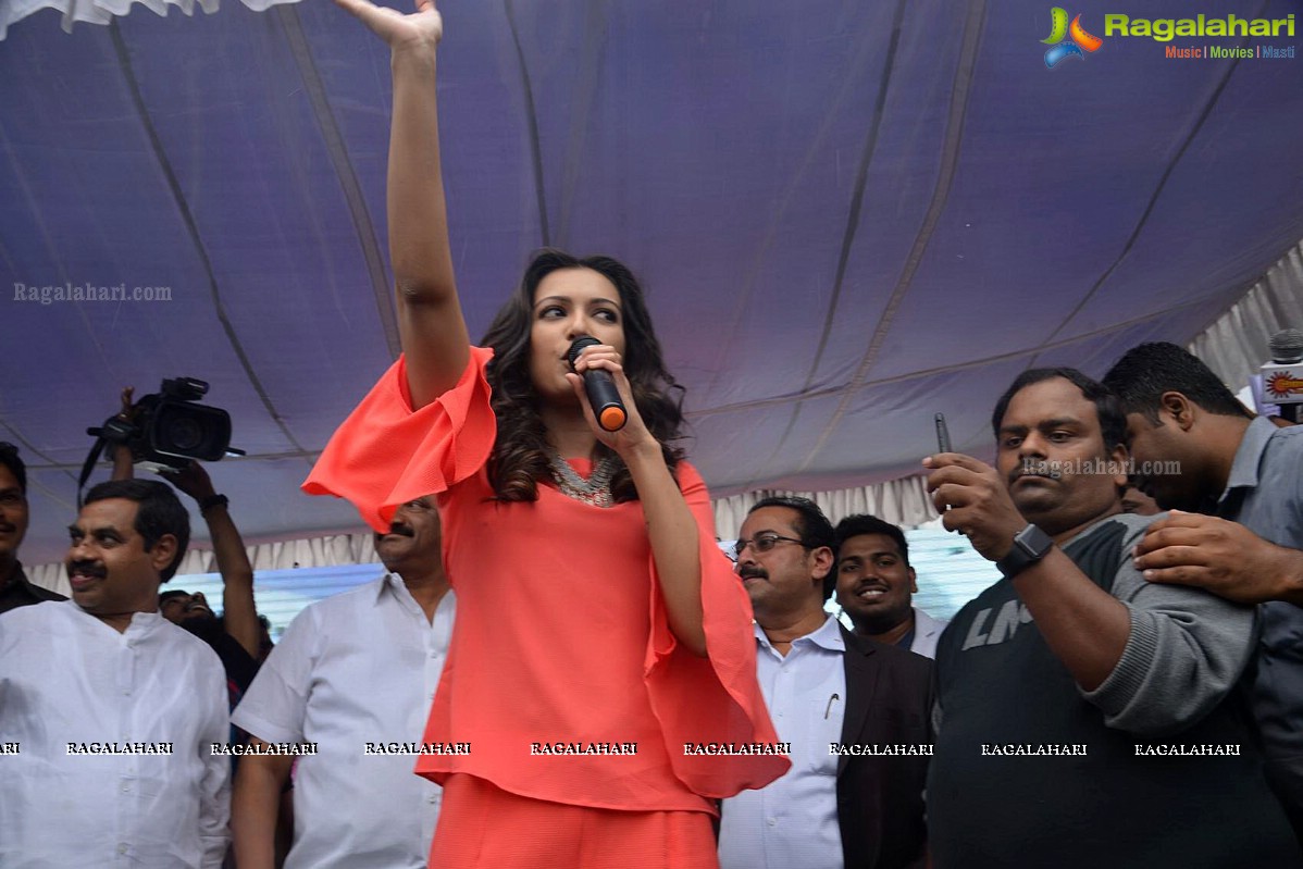 K.E. Krishna Murthy, Catherine Tresa inagurates B New Mobile Store in Kurnool