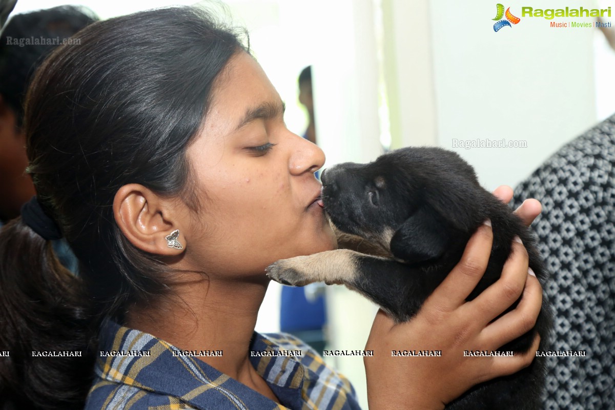 Blue Cross of Hyderabad launch ABC/ARV programme in association with GHMC