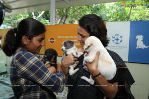 ABC/ARV programme launch by Blue Cross of Hyderabad