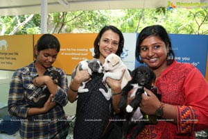 ABC/ARV programme launch by Blue Cross of Hyderabad