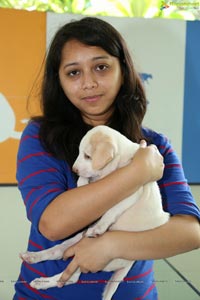 ABC/ARV programme launch by Blue Cross of Hyderabad