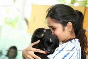 ABC/ARV programme launch by Blue Cross of Hyderabad