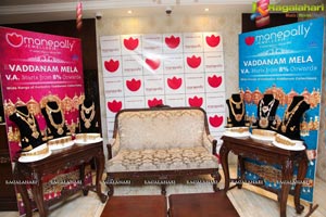 Manepally Jewellers Diamond Mela