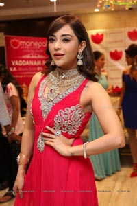 Manepally Jewellers Diamond Mela