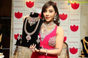 Manepally Jewellers Diamond Mela