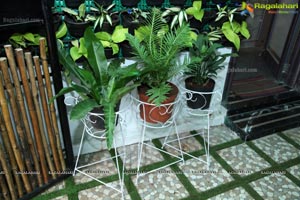 Plantshala Hyderabad