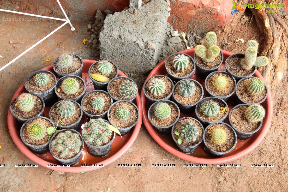 Inauguration of Plantshala by L Venkatram Reddy