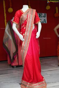 Shraddha Ladies Club Teej Event