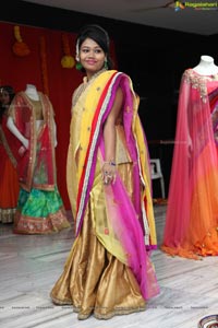 Shraddha Ladies Club Teej Event