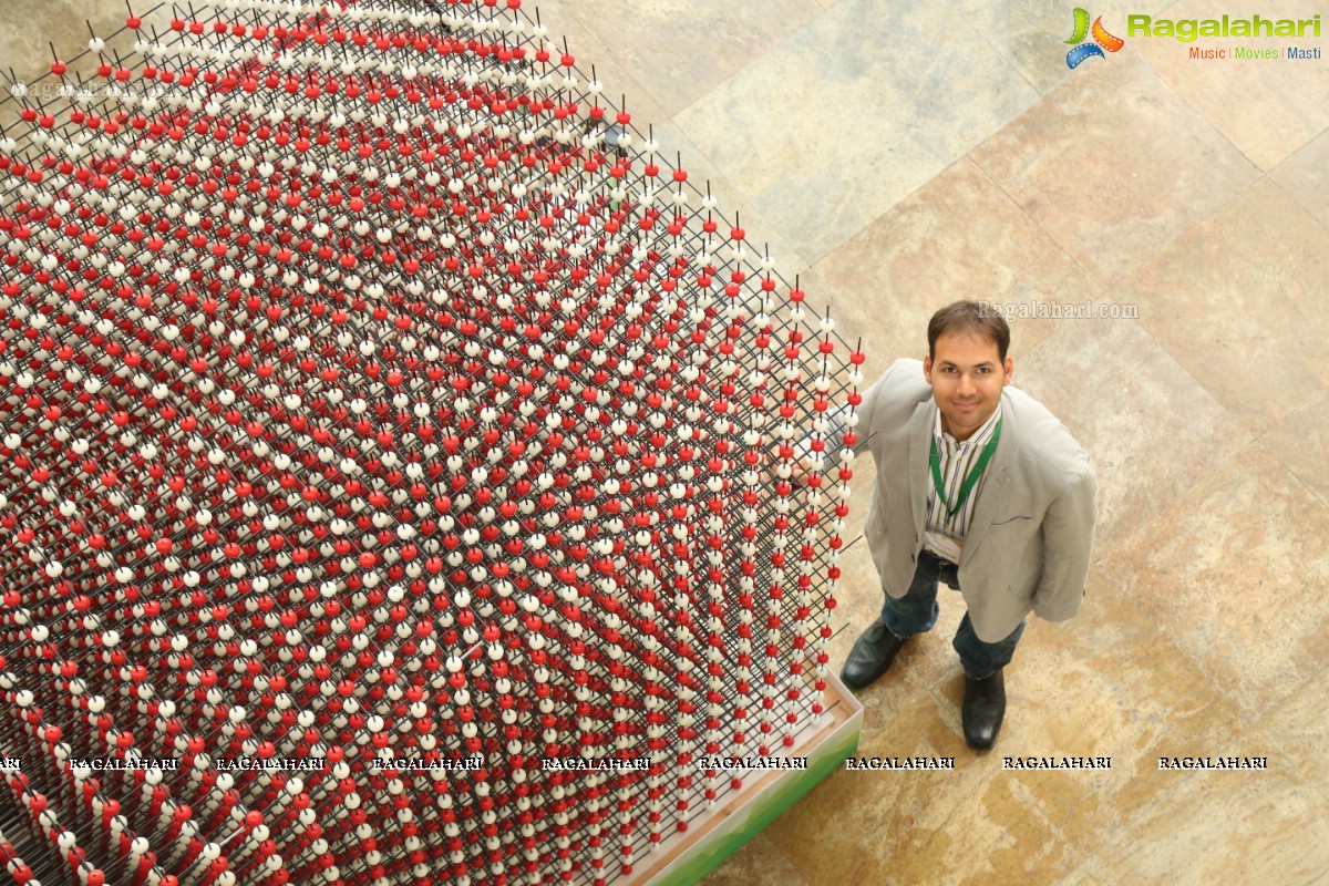 World's Largest Crystal Structure NaCl Unveiled