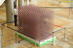 World's Largest Crystal Structure NaCl Unveiled