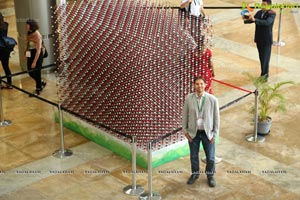 World's Largest Crystal Structure NaCl Unveiled