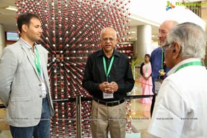 World's Largest Crystal Structure NaCl Unveiled