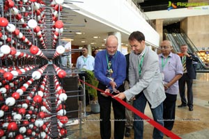 World's Largest Crystal Structure NaCl Unveiled